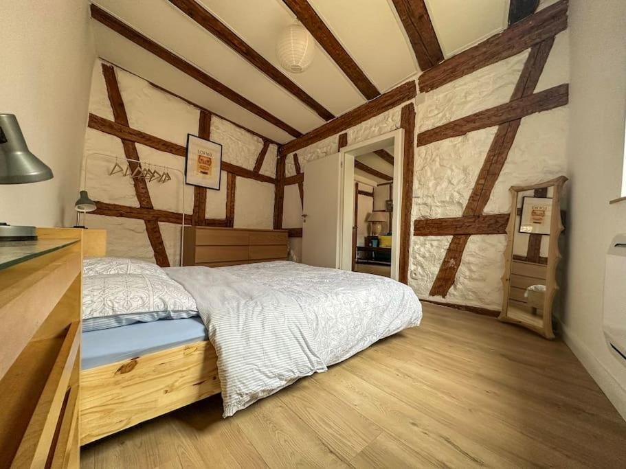 Nouvel Appartement, Le Colombage Heureux Selestat Luaran gambar