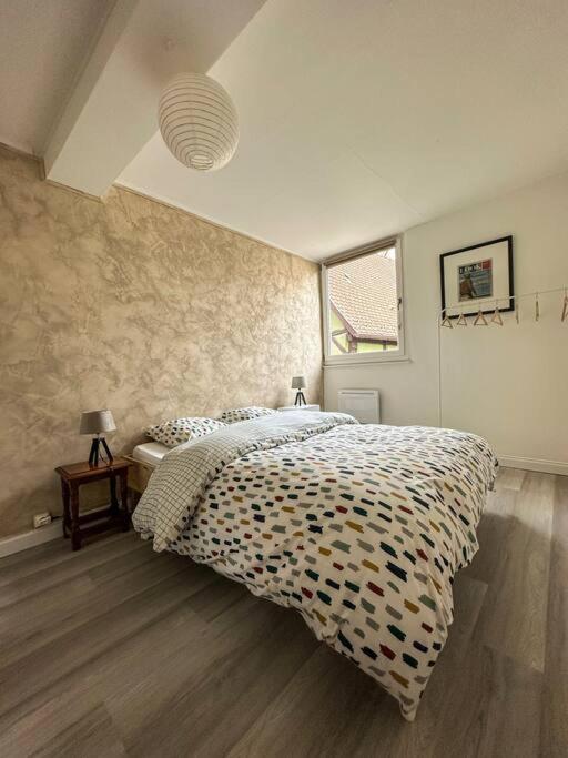 Nouvel Appartement, Le Colombage Heureux Selestat Luaran gambar