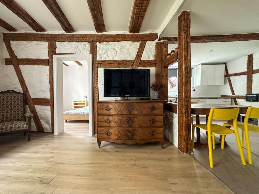 Nouvel Appartement, Le Colombage Heureux Selestat Luaran gambar