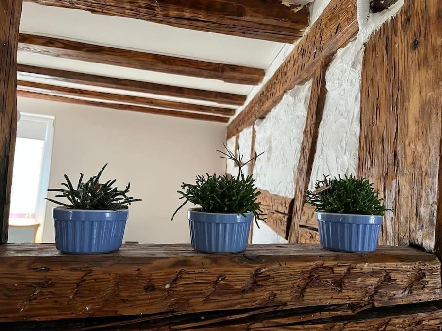 Nouvel Appartement, Le Colombage Heureux Selestat Luaran gambar