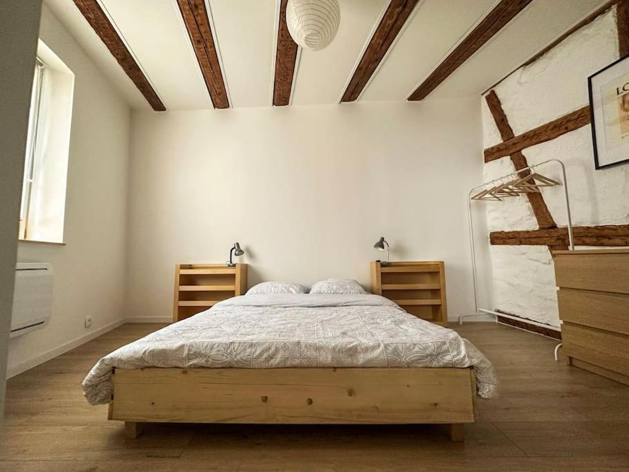 Nouvel Appartement, Le Colombage Heureux Selestat Luaran gambar
