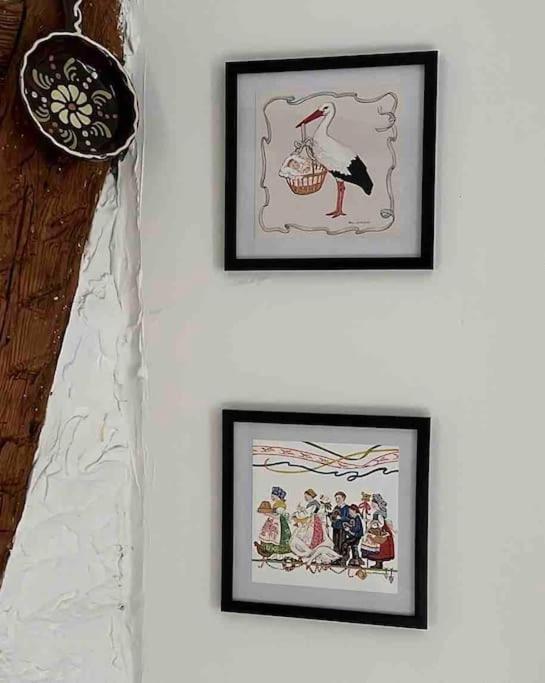 Nouvel Appartement, Le Colombage Heureux Selestat Luaran gambar