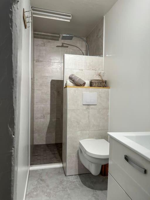 Nouvel Appartement, Le Colombage Heureux Selestat Luaran gambar